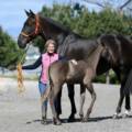Yeguada Susaeta y el caballo PRE | Entrevista a María José Ruiz