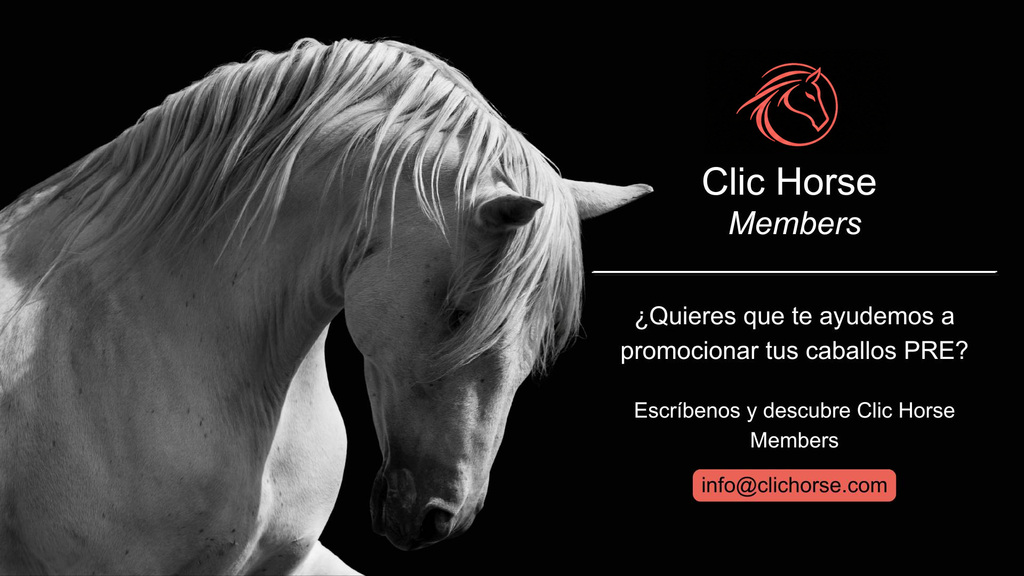 Clic Horse Members, servicio de promoción de caballos Pura Raza Española (PRE)