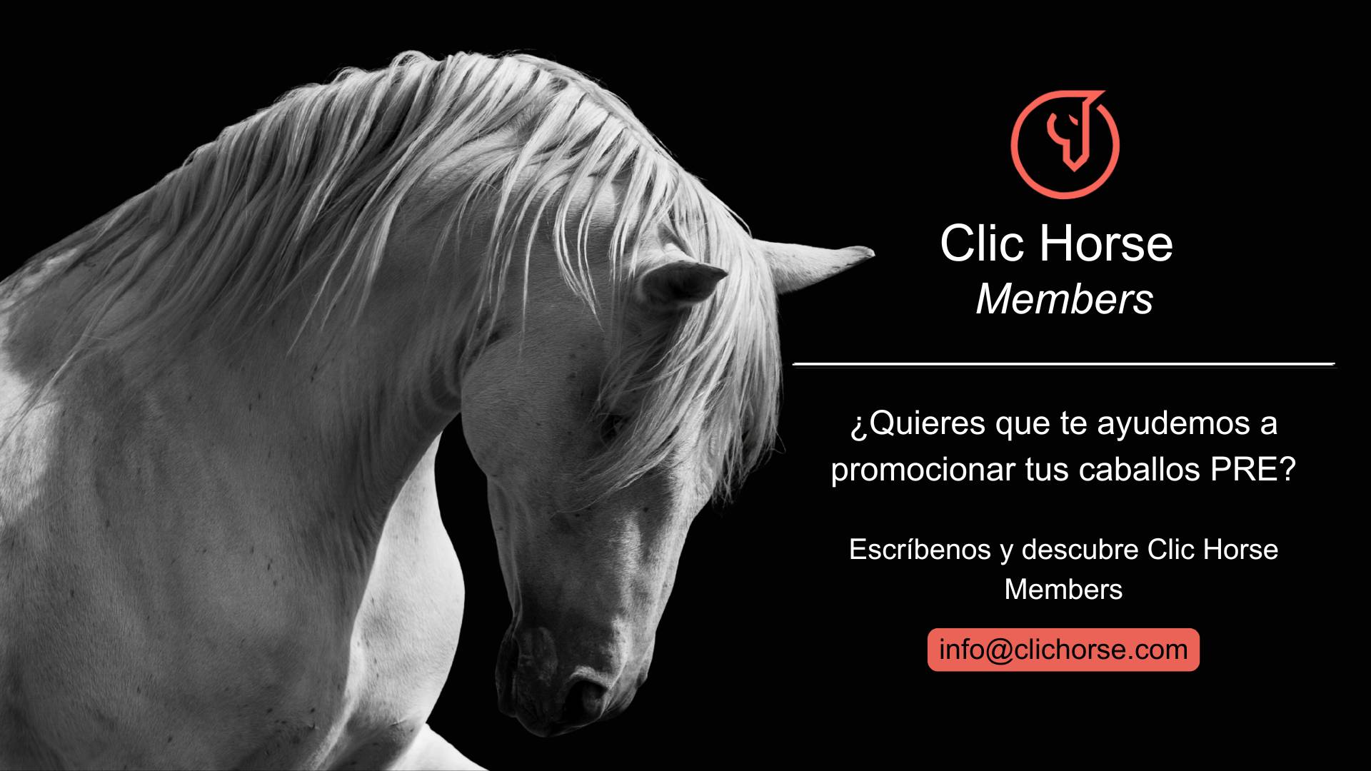 Clic Horse Members, servicio de promoción de caballos Pura Raza Española (PRE)