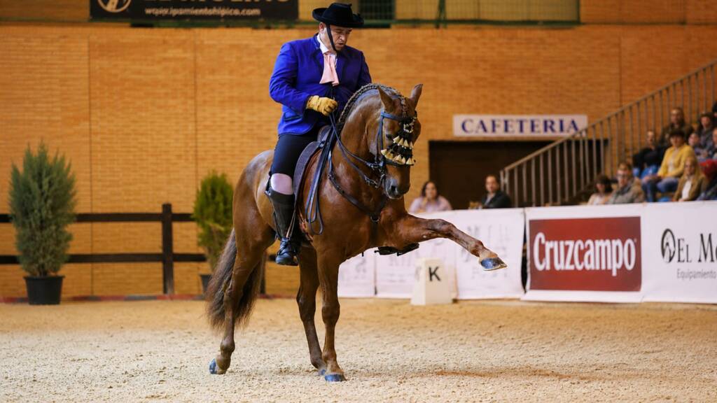 Jade AP V, PRE alazán de Familia Peralta, campeona de Alta Escuela