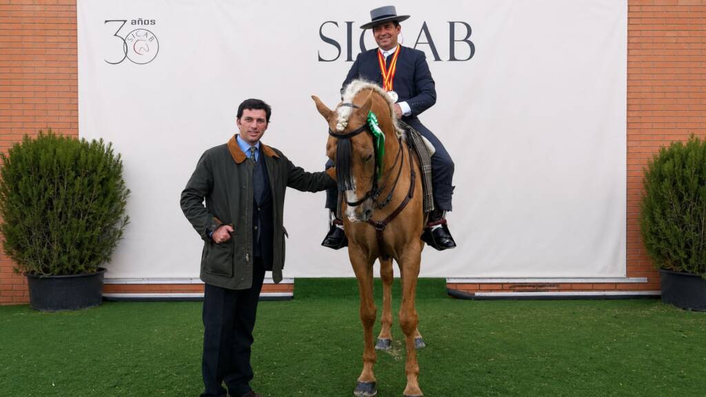 Quedado AP II, caballo PRE de Familia Peralta, campeón de Alta Escuela, con José Antonio Olea
