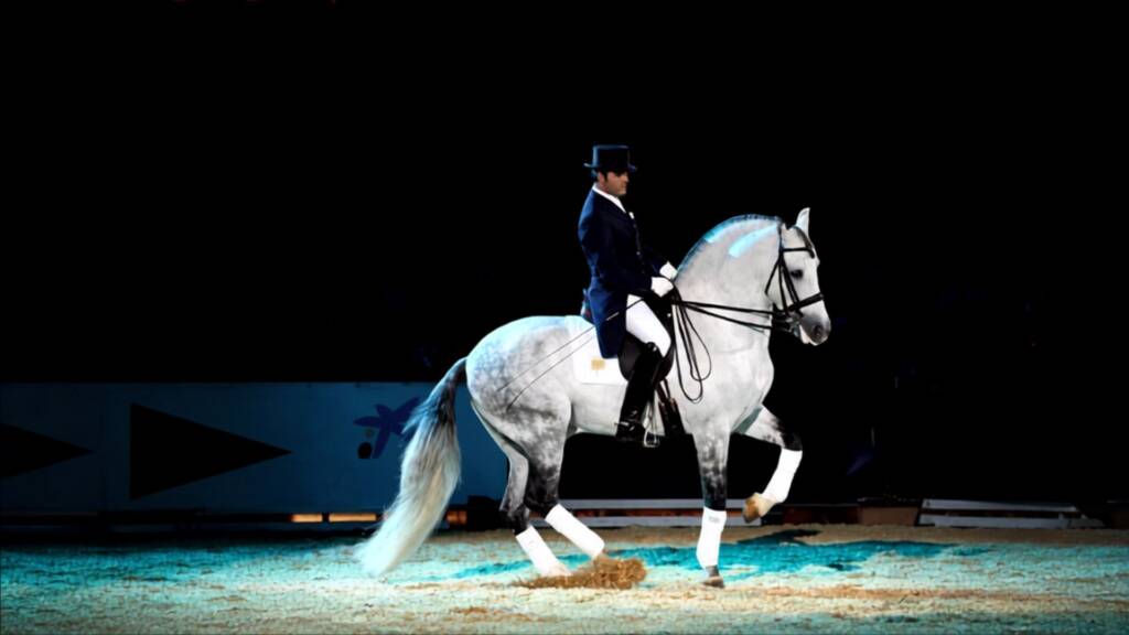 Soleá XX, caballo PRE de Familia Peralta, campeón de Gran Premio de Doma Clásica en SICAB 2007