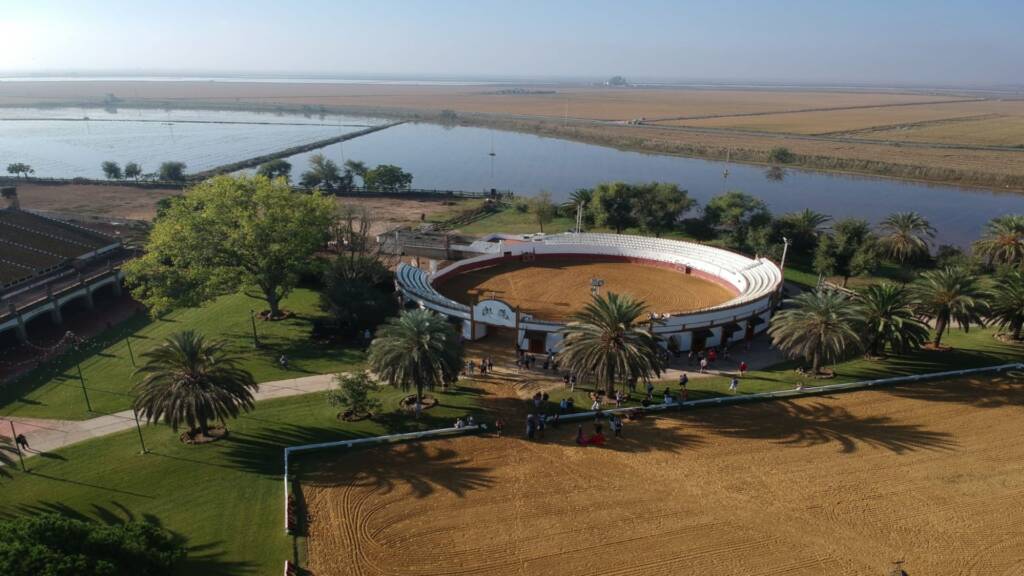 Vista aérea del Rancho El Rocío de la Familia Peralta en las marismas del Guadalquivir