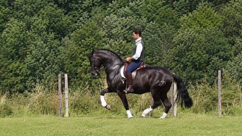 Alborán PRE y Antonio Angulo en un prado