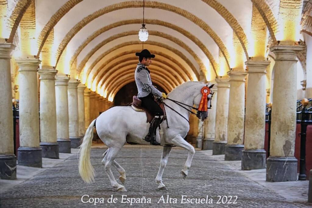 Antonio Angulo Serrato montando a Marsellés, caballo PSL, en la Copa de España de Alta Escuela 2022 en las Caballerizas Reales