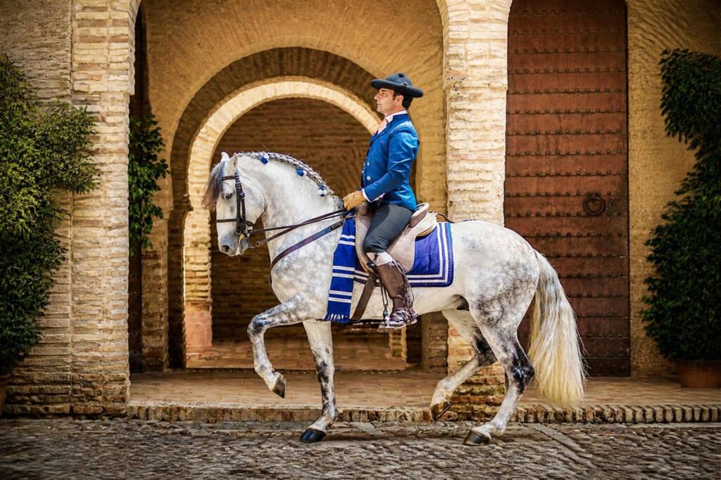 Caballo Cartujano tordo montado por un jinete ante una portada histórica