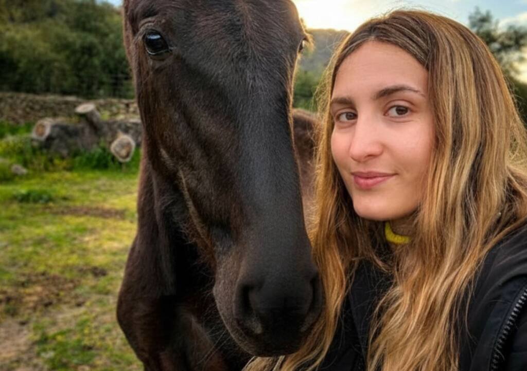 Clic Horse